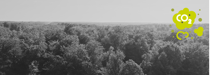 Zoniënwoud CO2